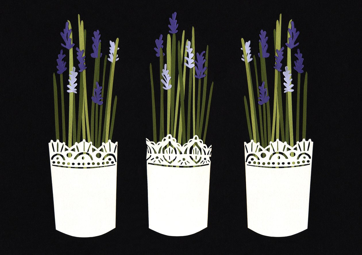 Vasos de lavanda, 2014 (papel) de Isobel Barber