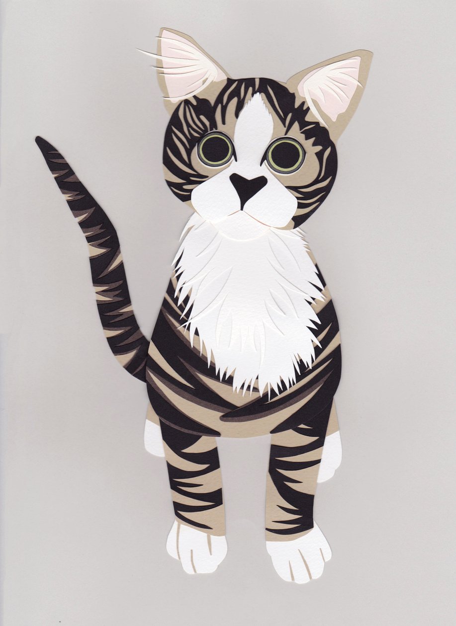 Pussycat, 2016 (papel) de Isobel Barber