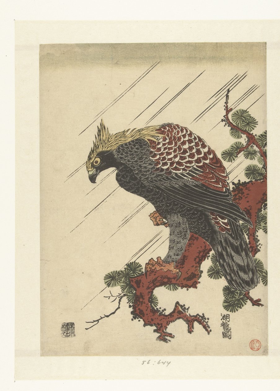 Águia no galho de pinheiro na chuva de Isoda Koryusai