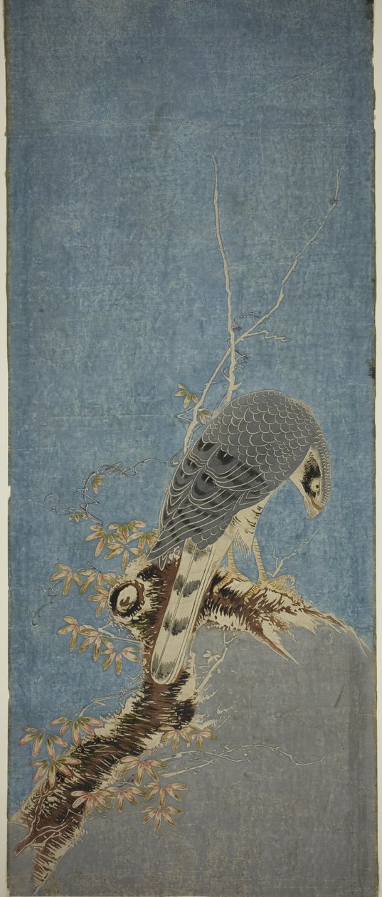 Falcão empoleirado em uma árvore de Isoda Koryusai
