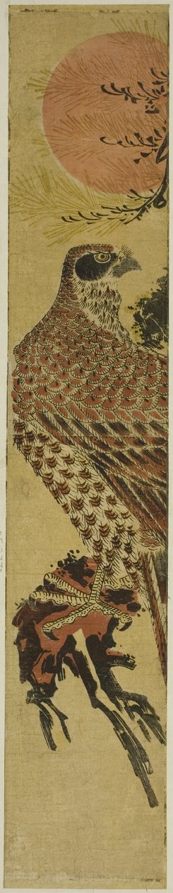 Falcão ao nascer do sol de Isoda Koryusai