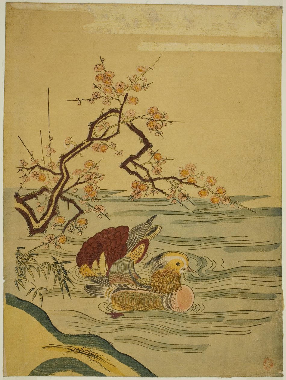 Patos mandarim nadando sob o galho de ameixa de Isoda Koryusai