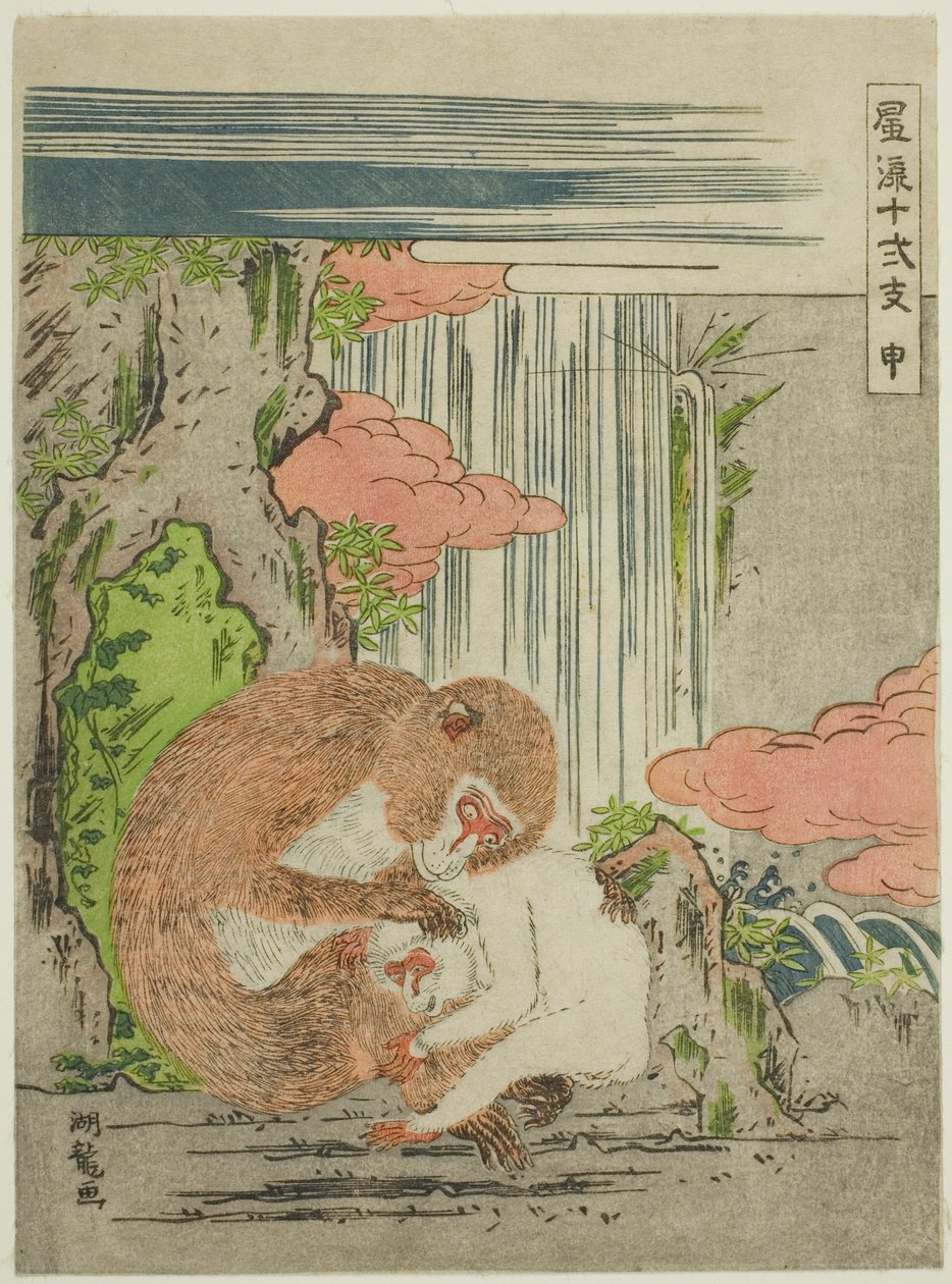 Macaco (Saru), da série "Fashionable Doze Signos do Zodíaco (Furyu juni shi)" de Isoda Koryusai