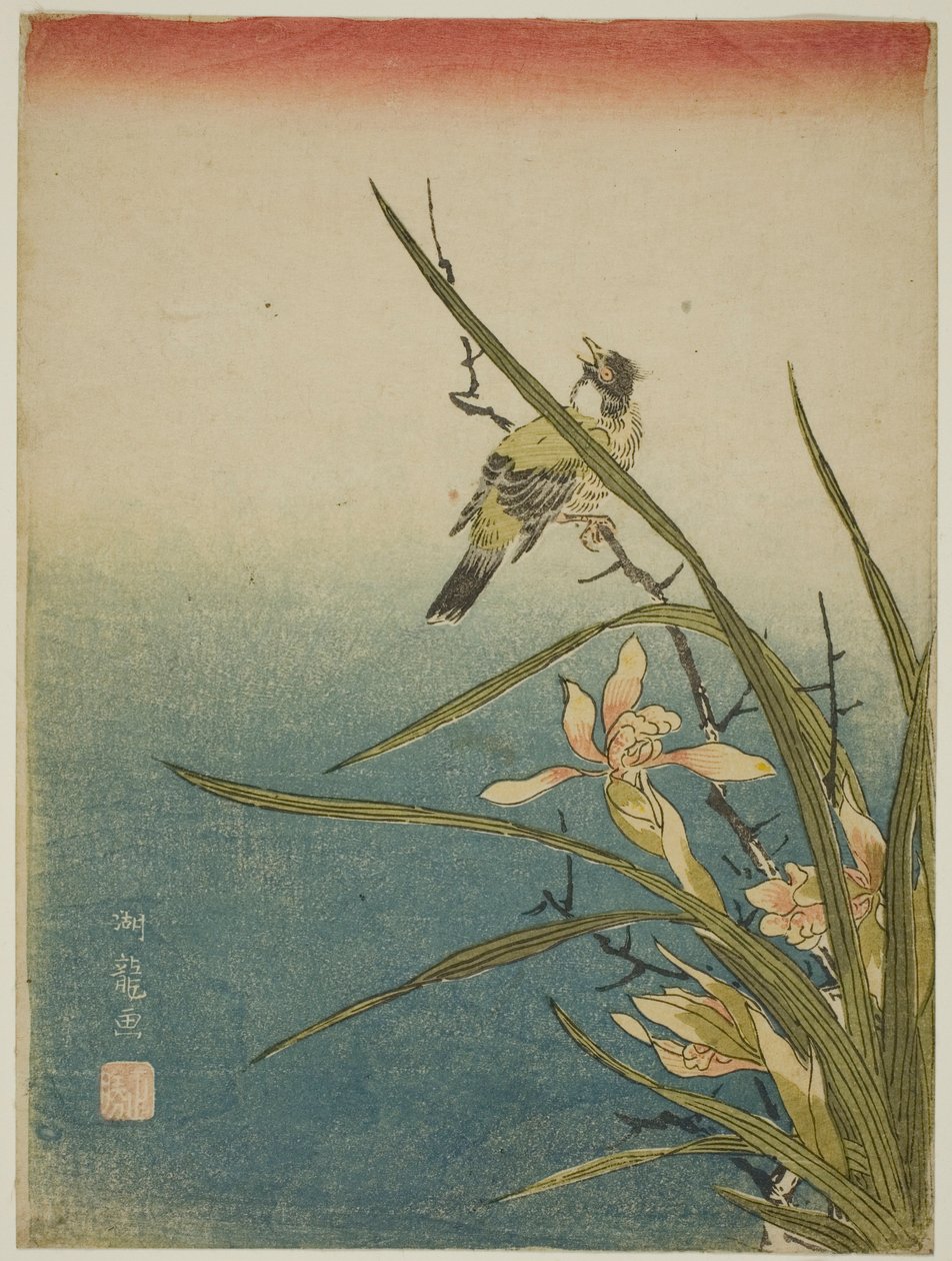 Orquídea e pássaro de Isoda Koryusai