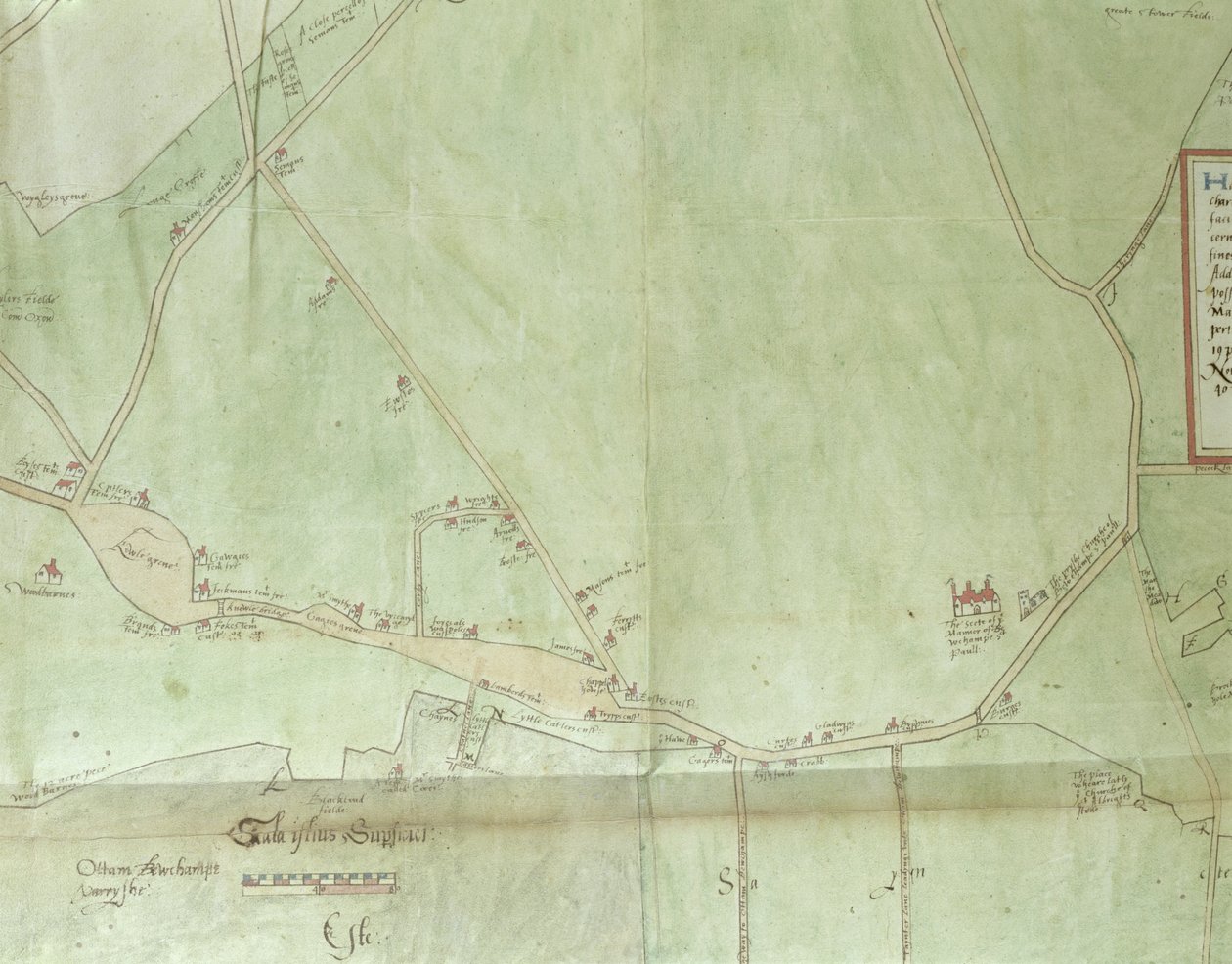 Ms.255171 Mapa imobiliário de Belchamp St. Paul, 1576 (caneta e tinta e papel sobre papel) (detalhe) de Israel Amyce