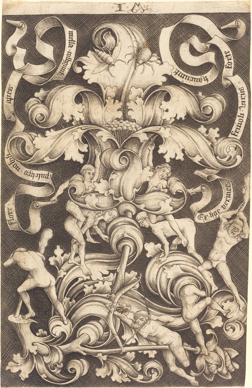 Ornamento com flor e oito selvagens. de Israhel van Meckenem
