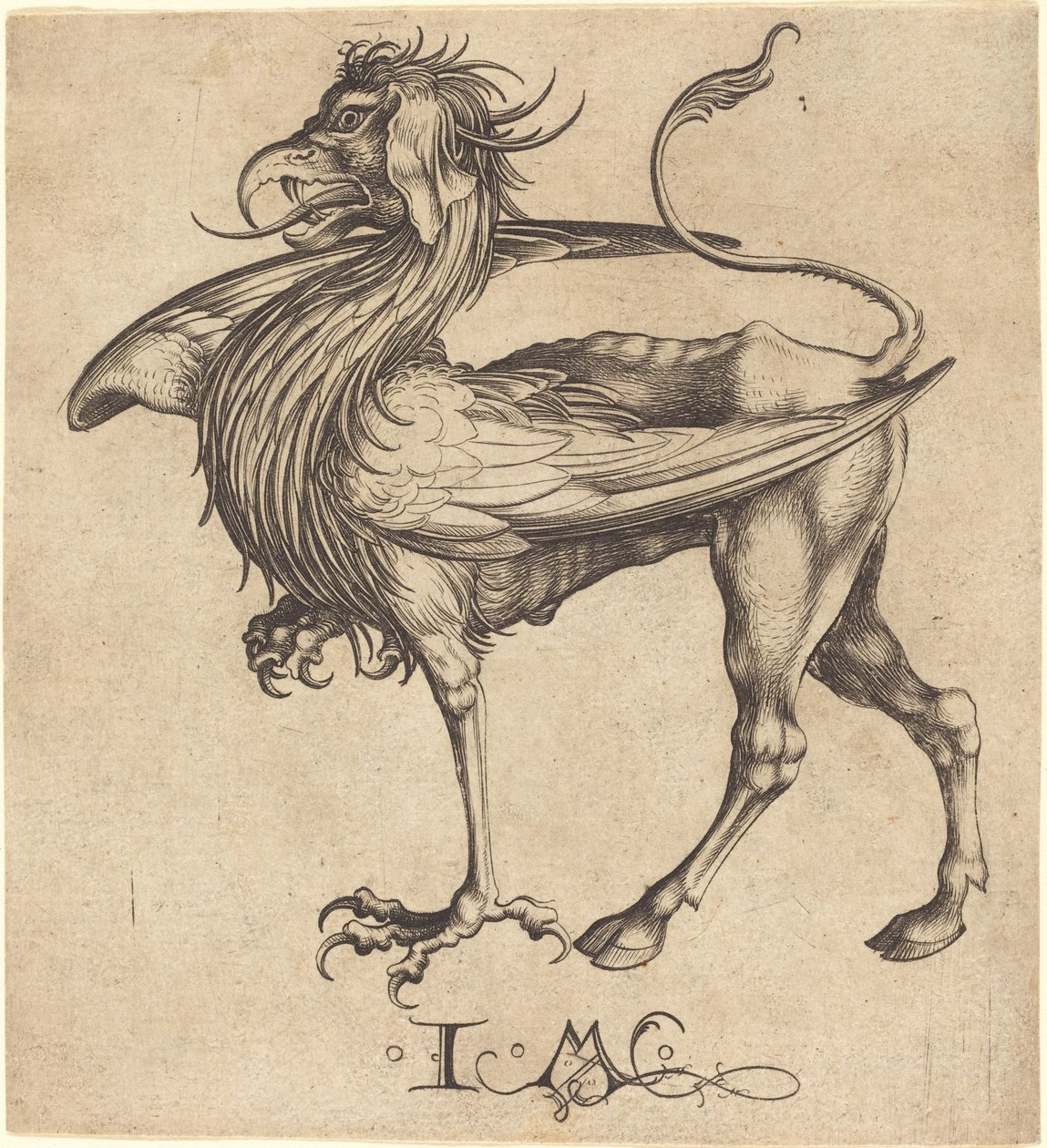 O Grifo de Israhel van Meckenem after Martin Schongauer