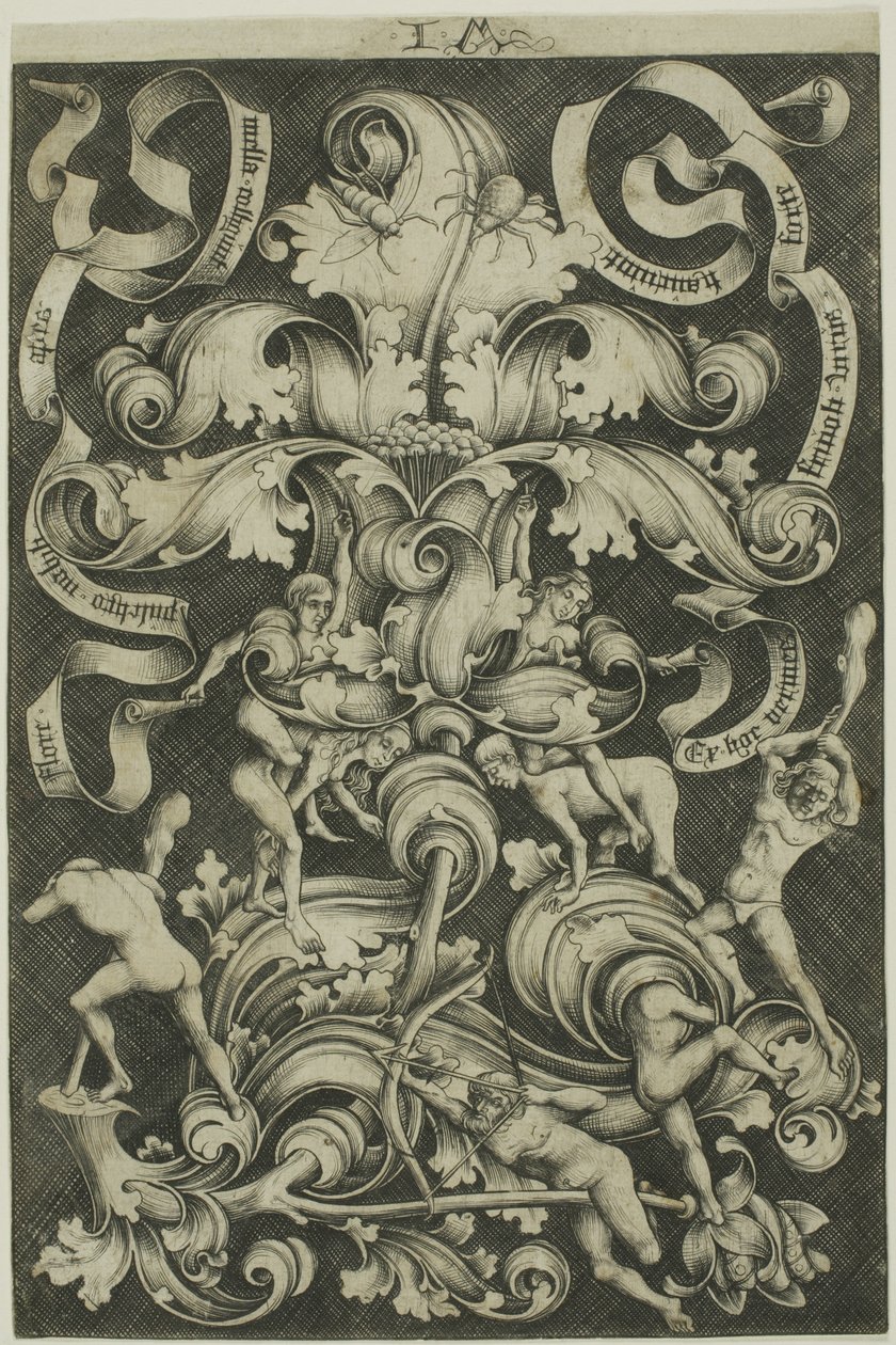 Ornamento com flor e oito folclore selvagem de Israhel van Meckenem the younger