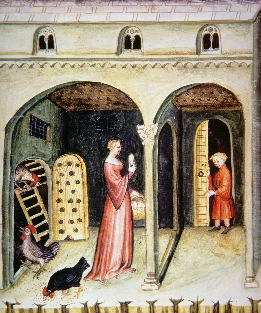 Fol.65v Criando galinhas, ilustração de Tacuinum Santiatis Codex Vindobonensis de Italian School