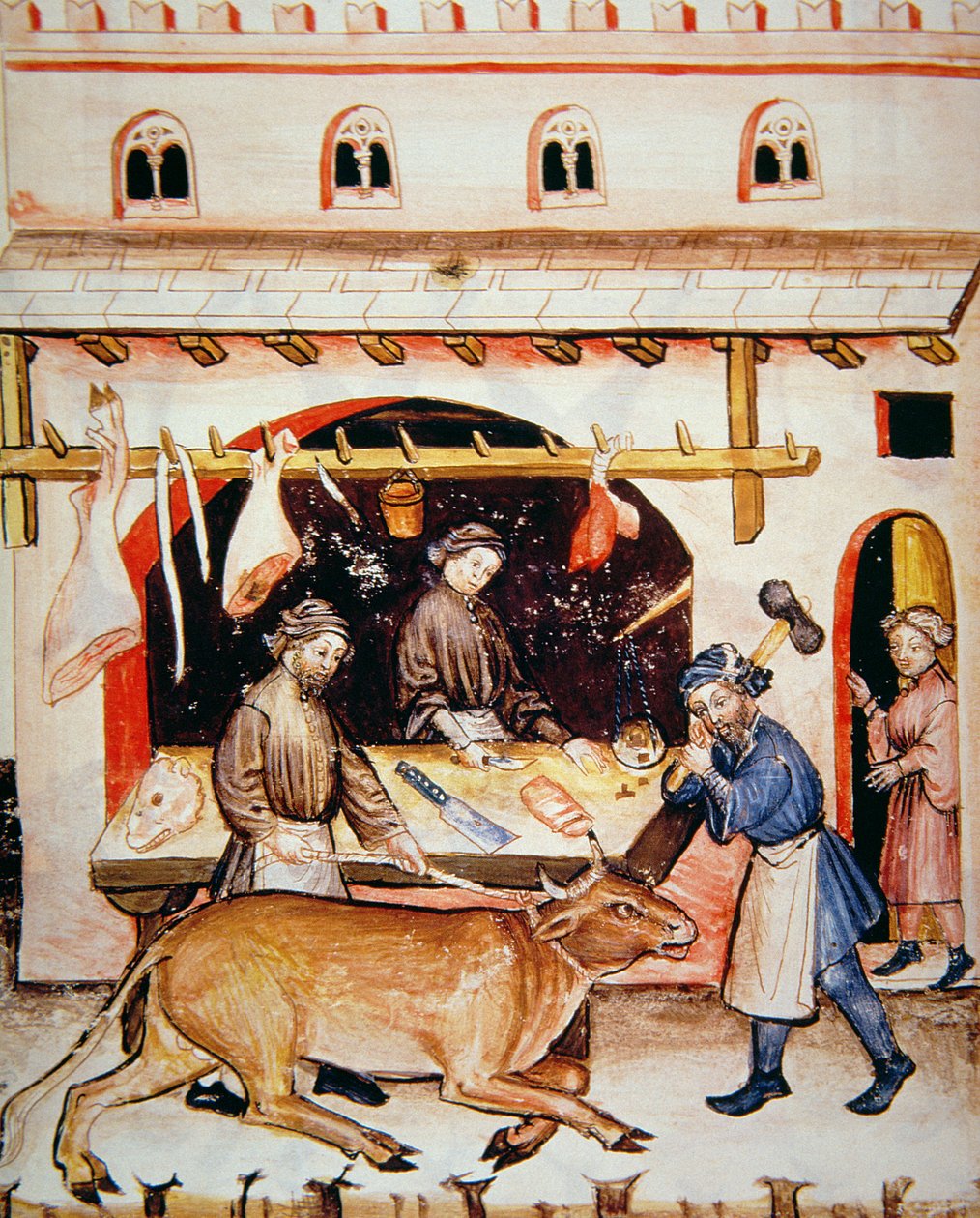 Fol.73v Os açougueiros: Vitela, ilustração de Tacuinum Santiatis Codex Vindobonensis de Italian School