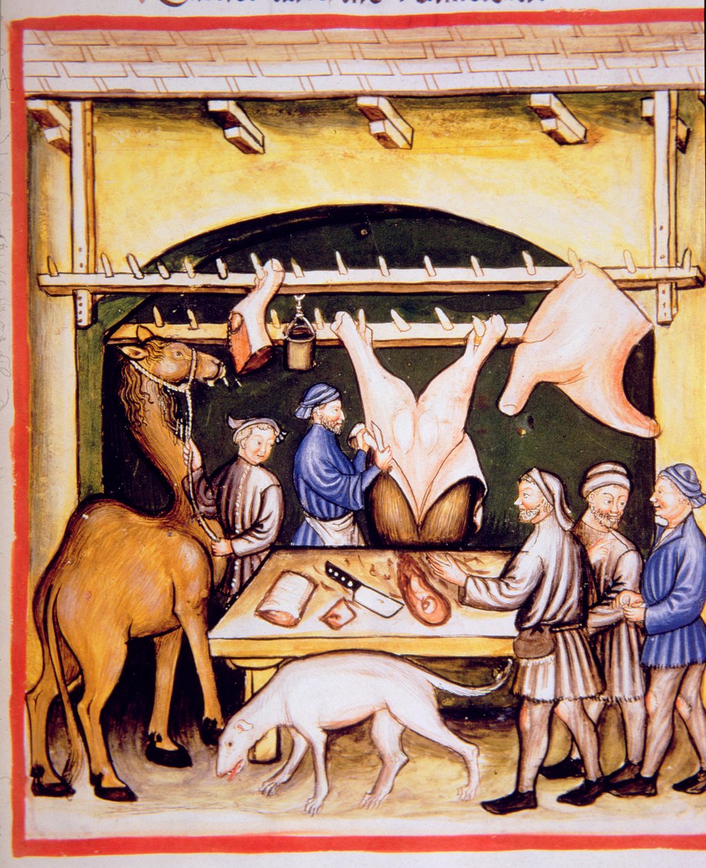 Fol.74r O Carniceiro: A Carne de Vacas e Camelos, ilustração de Tacuinum Santiatis Codex Vindobonensis de Italian School