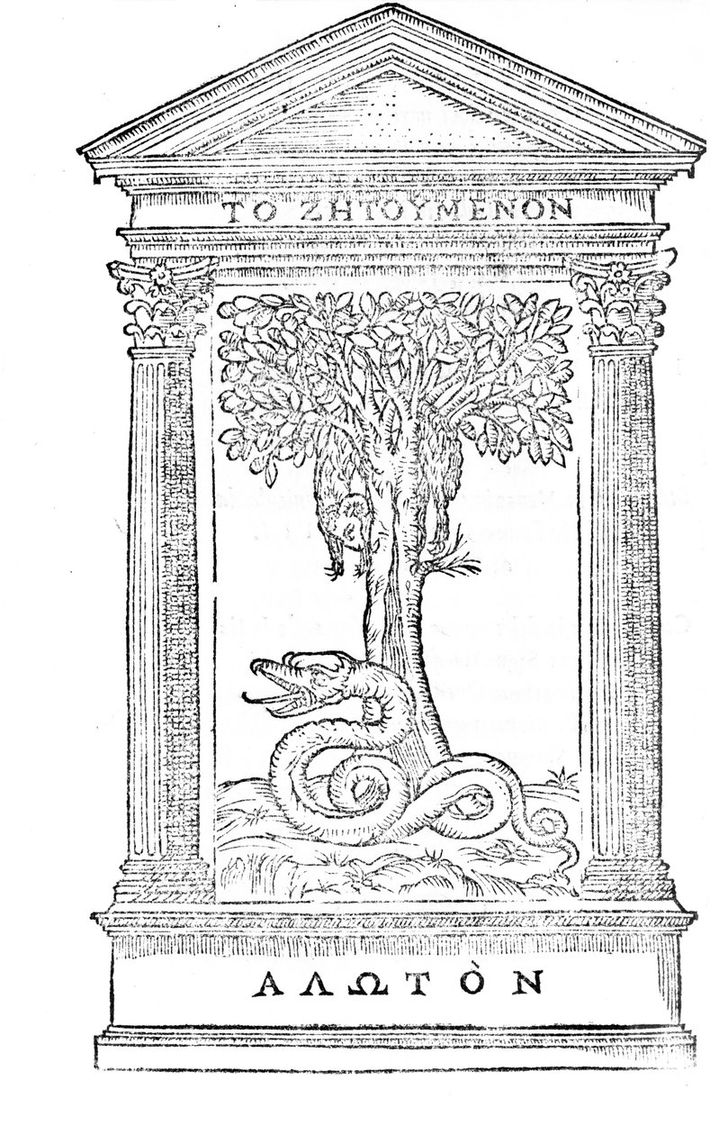 Ilustração de &39;La Liberata Da&39; Goti &39;de Gian Giorgio Trissino publicada em 1548 de Italian School