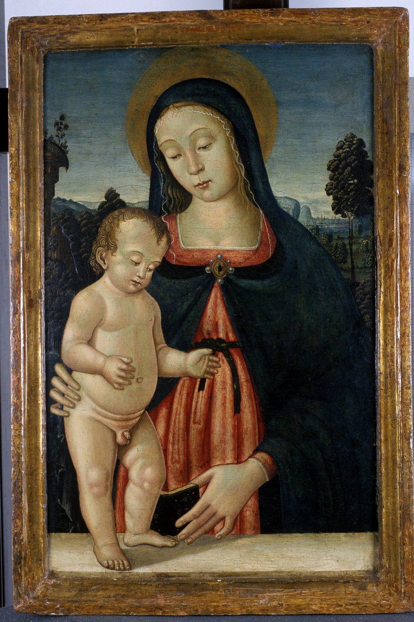 Madonna and Child, c.1500 (têmpera sobre madeira de choupo) de Italian School