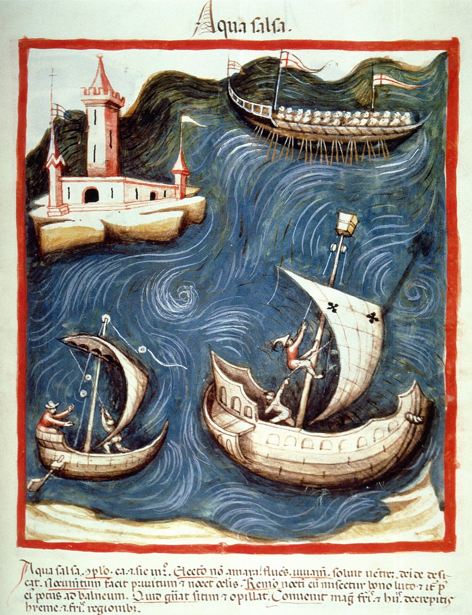 Nova 2644 f.88r Barcos no Mar, ilustração de Tacuinum Santiatis Codex Vindobonensis de Italian School
