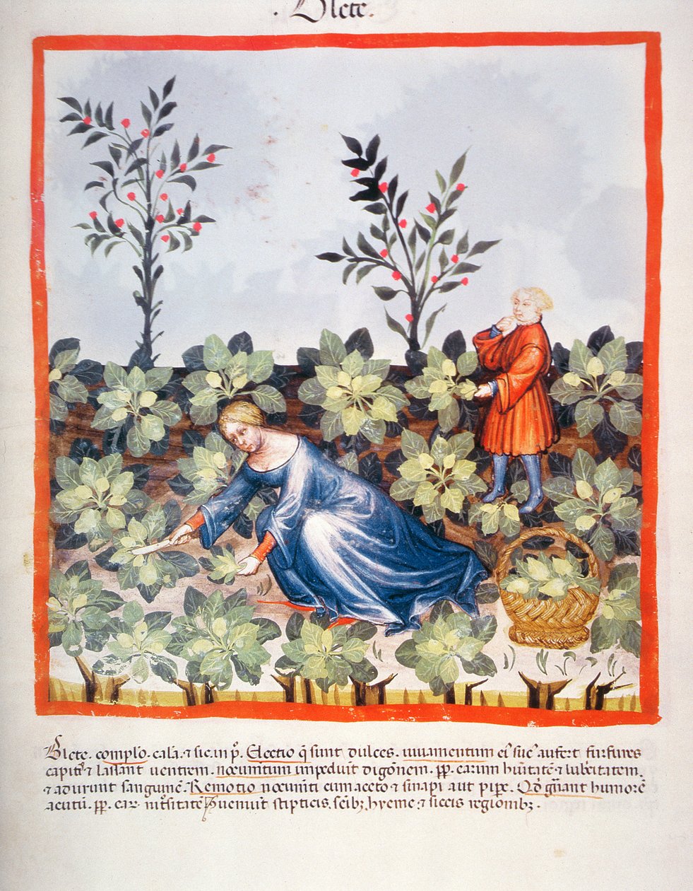 2644 Chinese New fol.27r de colheita sair, de Tacuinum saudável de Italian School