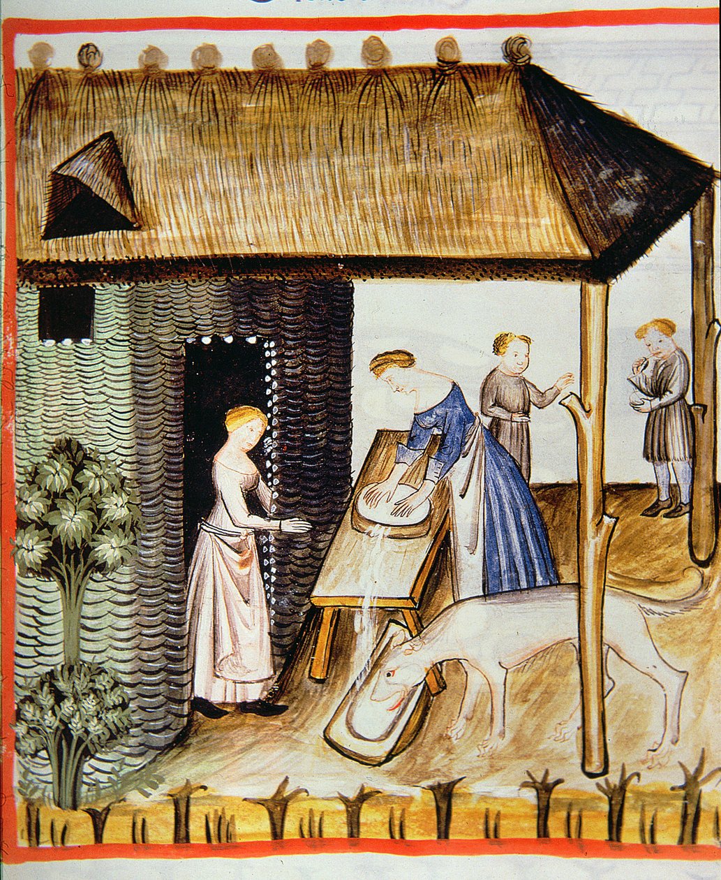 New Preparação 2644 fol.60r de queijo fresco, de Tacuinum saudável de Italian School