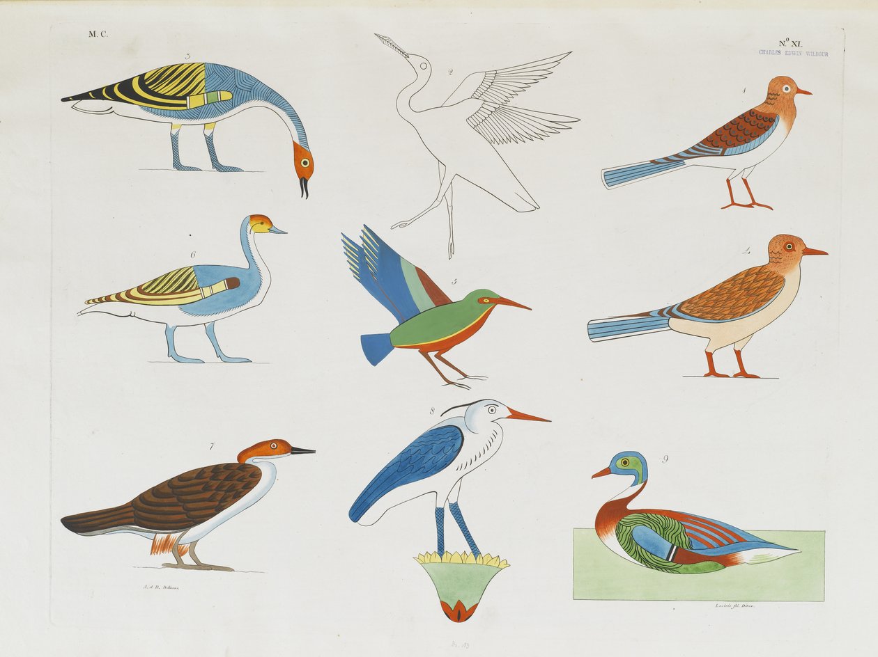 Várias espécies de aves representadas na caça de Italian School