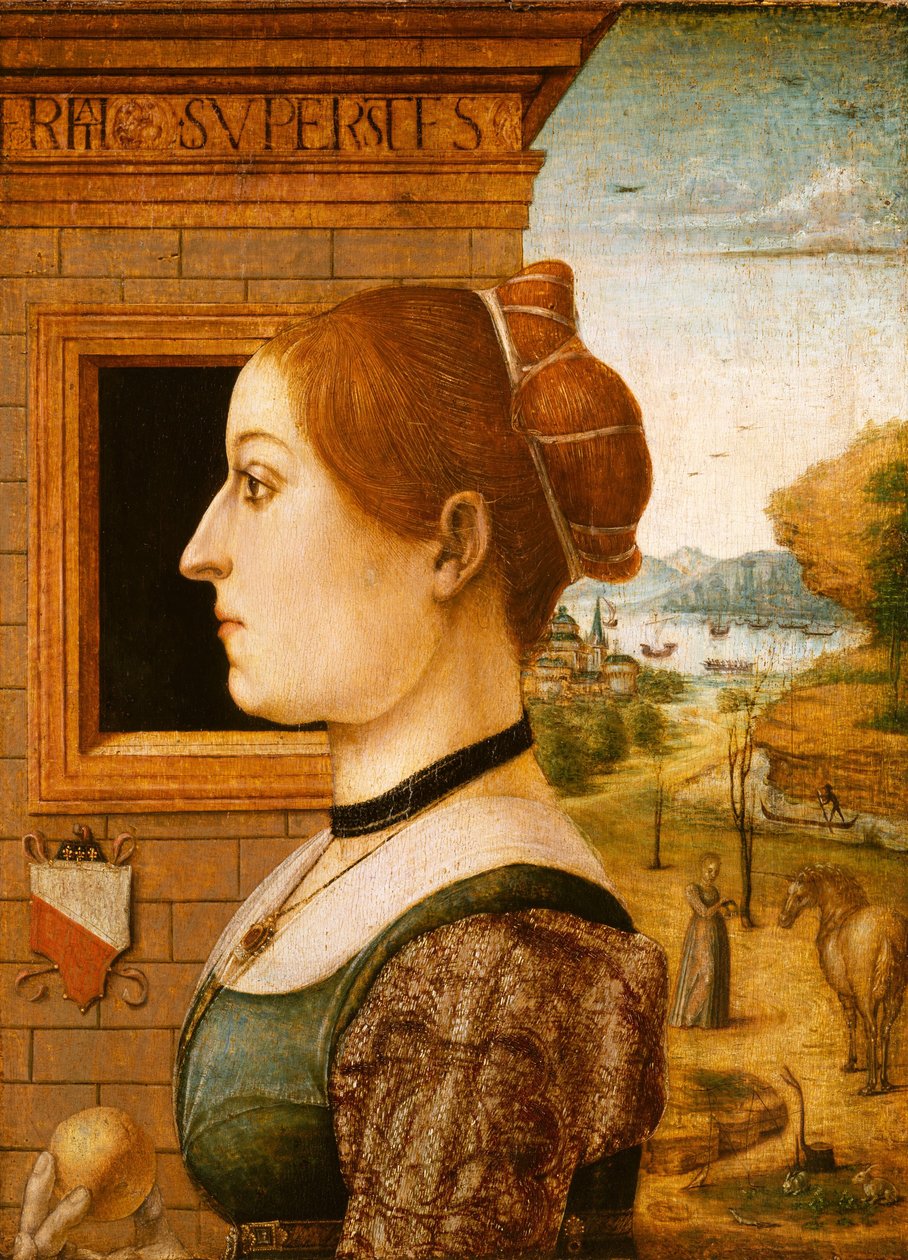 Retrato de uma mulher, c.1494 (tempera em madeira) de Italian School Italian School