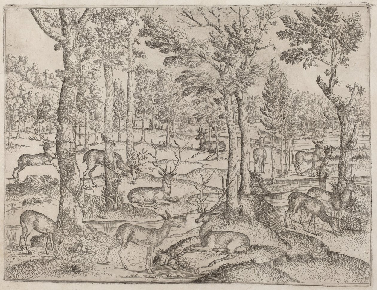 veado na floresta de Italian 16th Century