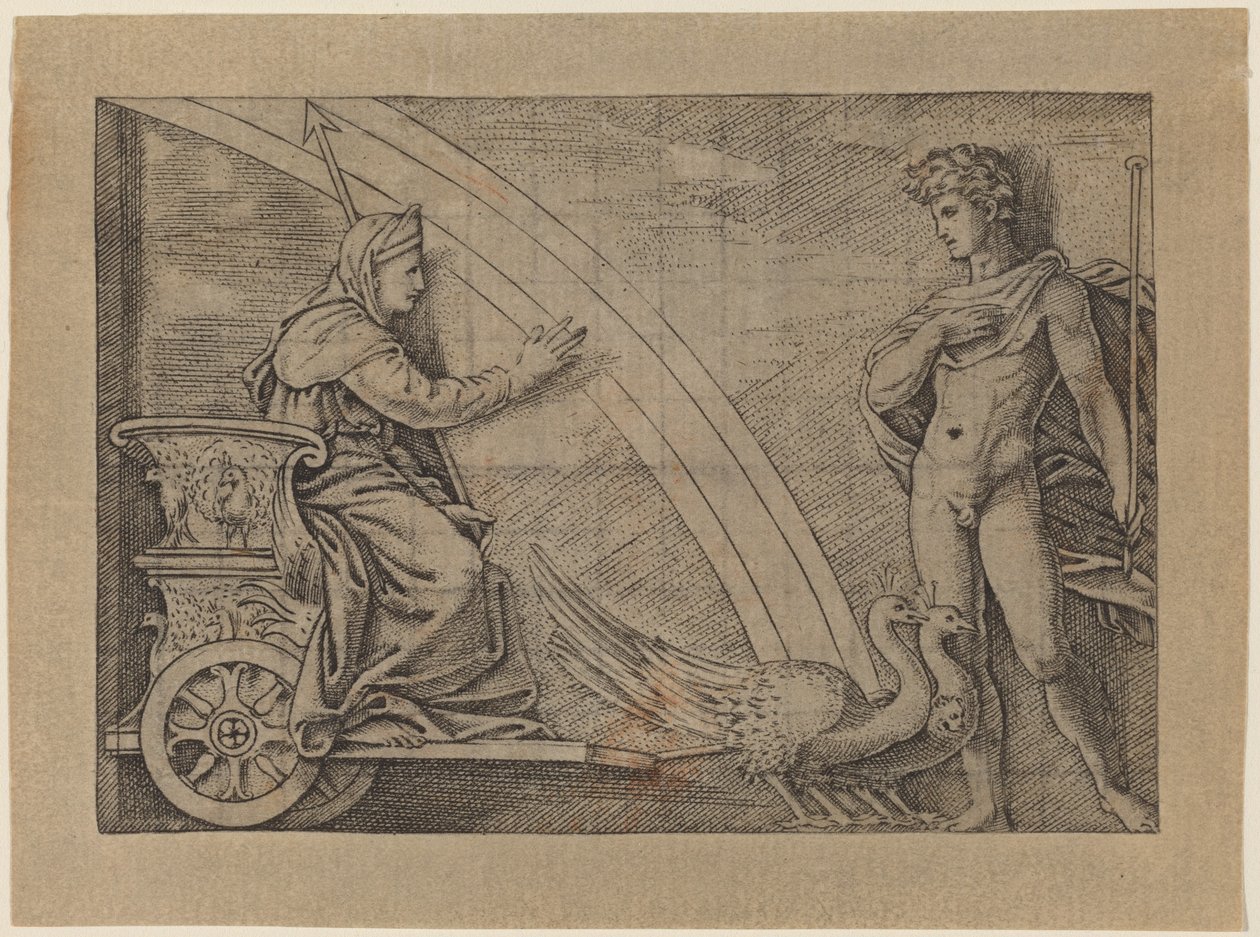 Juno em uma carruagem puxada por pavões de Italian 16th Century