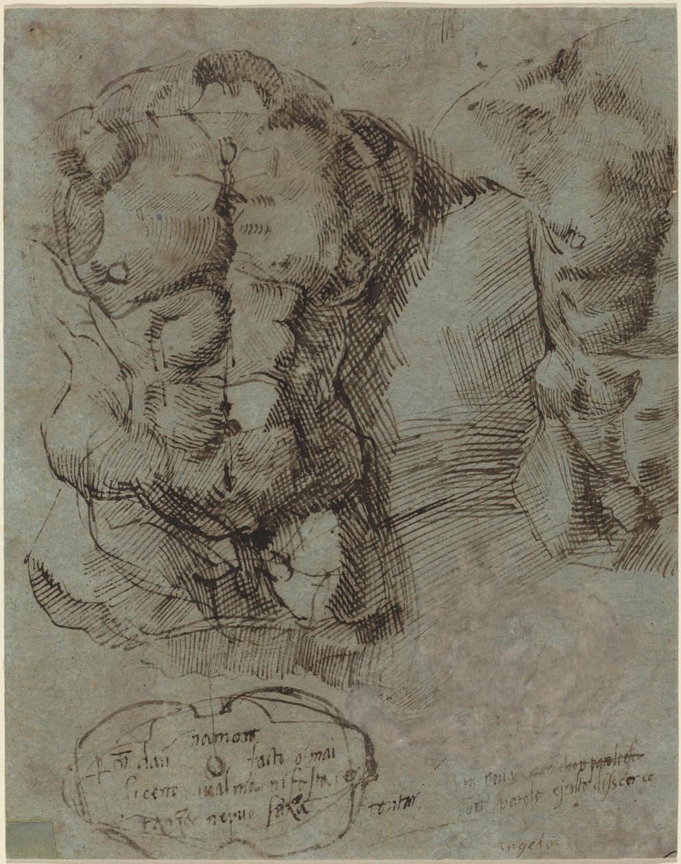 Estudos de um torso masculino de Italian 16th Century