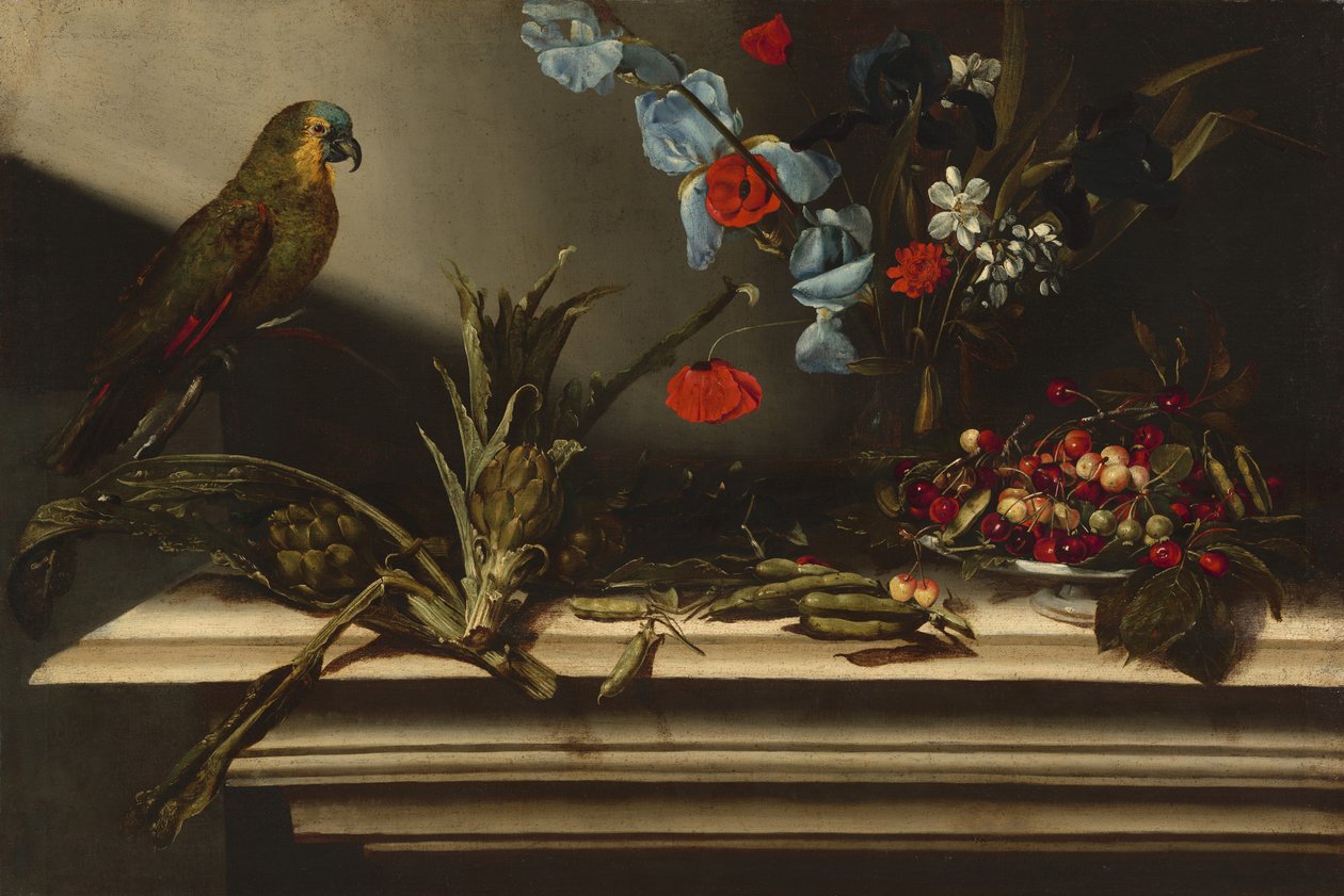 Natureza morta com alcachofras e um papagaio de Italian 17th Century