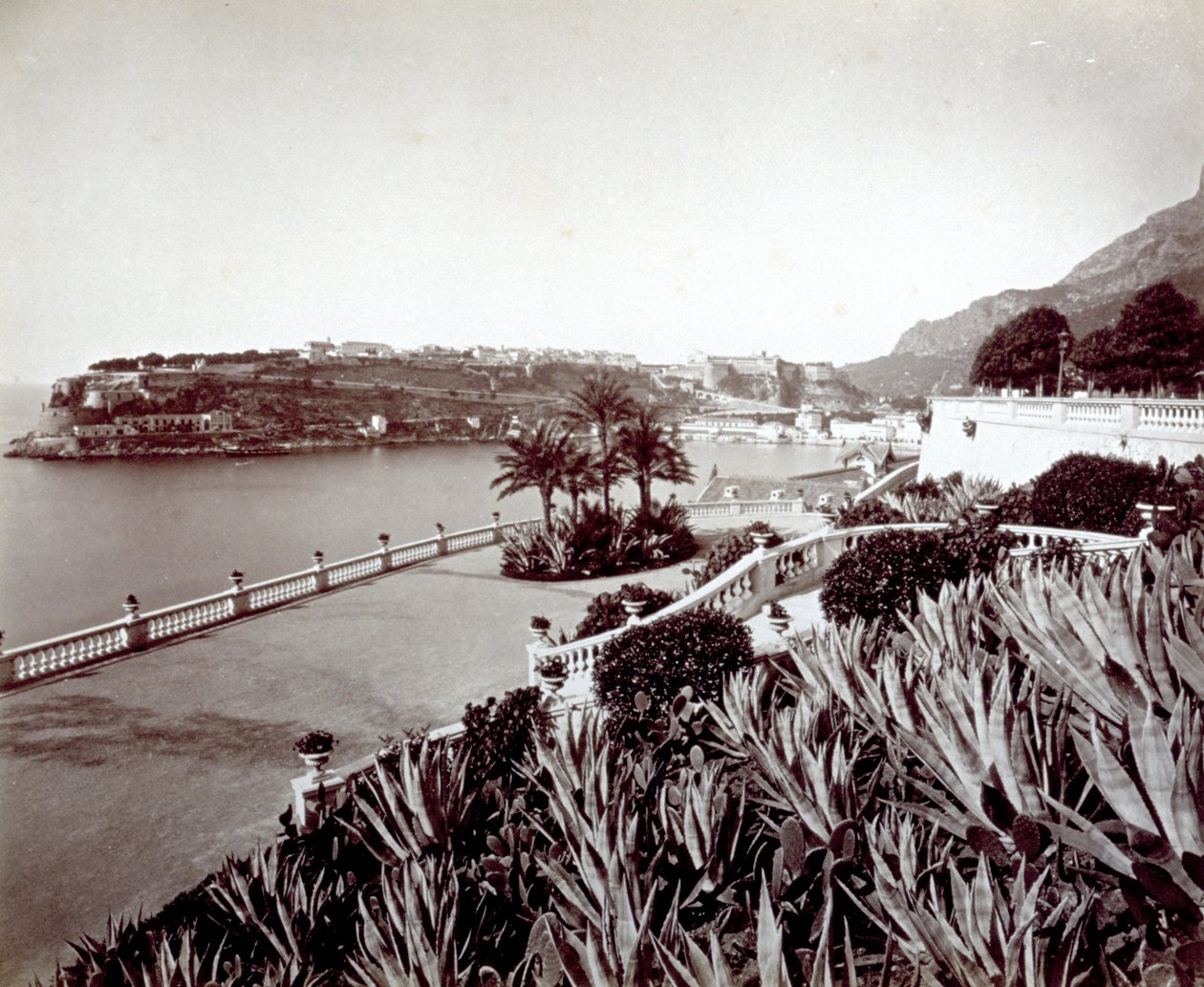 Panorama de Montecarlo. Em primeiro plano, vegetação densa de plantas agave e cactos. de Italian Photographer