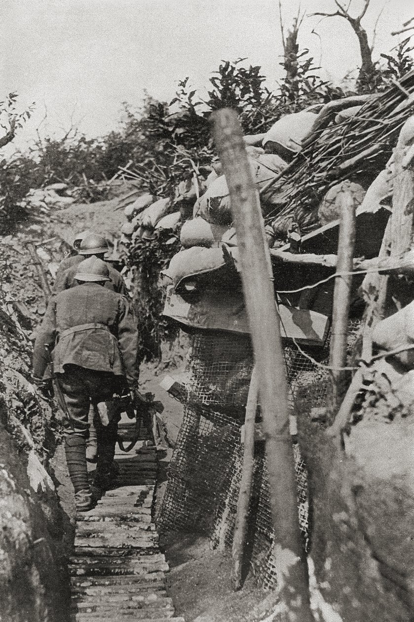 A passagem através das trincheiras no Monte Podgora, Itália de Italian Photographer