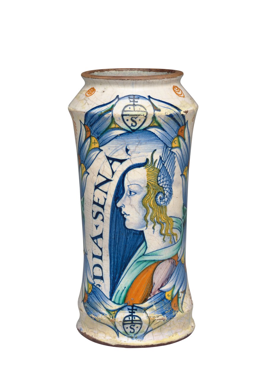 In Deruta Maiolica "Bella Donna" Albarello, c.1510-20 de Italian School