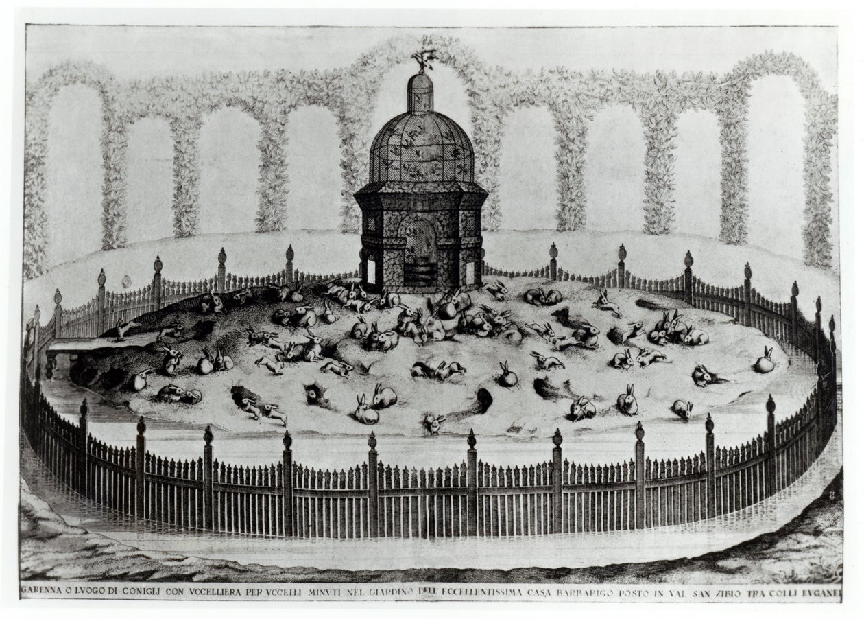 Um coelho com aviário para pequenas aves, da Le Fabbriche ei Giardini dellEcc. Casa Barbariga, de D. Rossetti, gravada por G. Campana, publicada em 1702 de Italian School