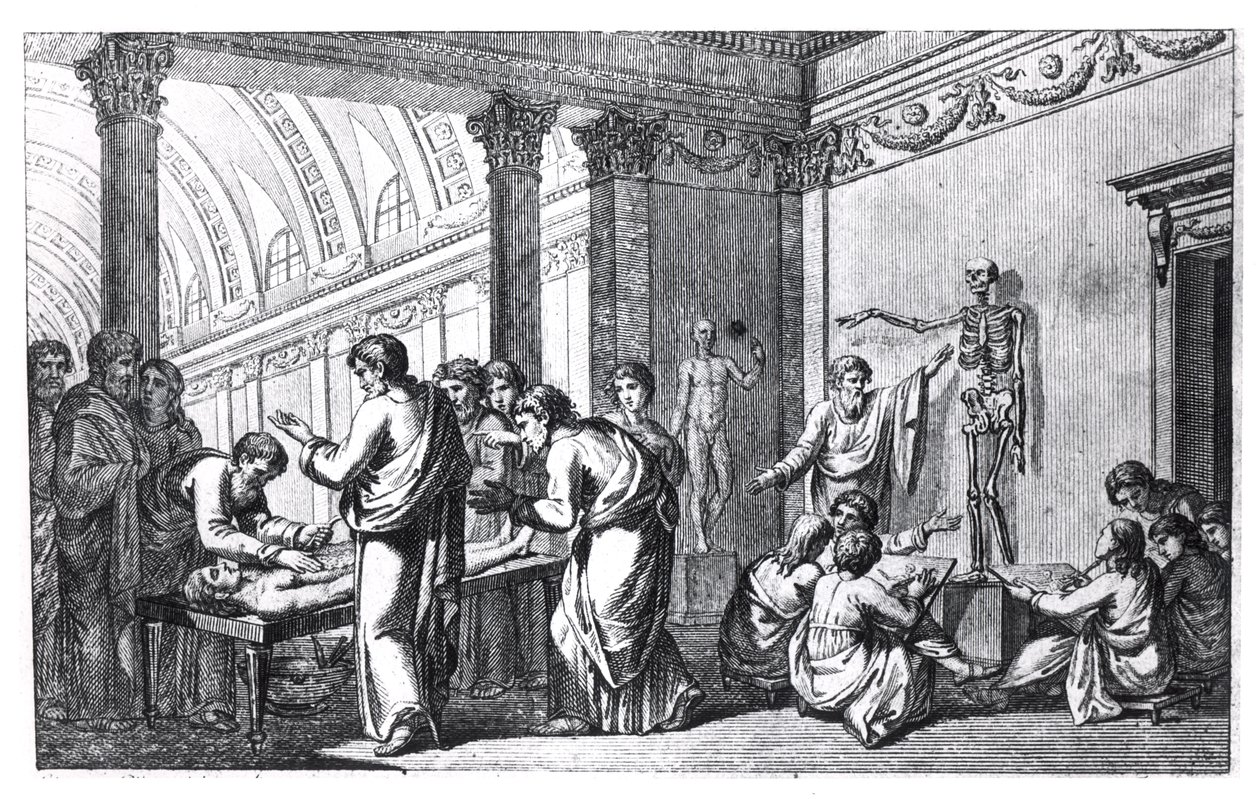 Uma Escola de Anatomia na Antiguidade, de Tabulae Anatomicae de Pietro Berrettini da Cortona (1596-1669) publicada em Roma, 1778 de Italian School