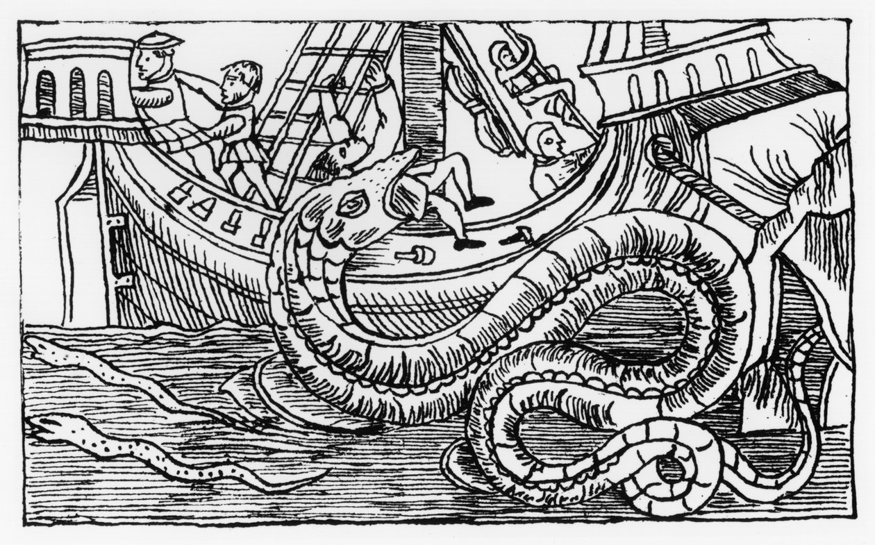 Uma serpente do mar, de &39;Descrição do Norte "por Olaus Magnus (1490-1557) publicada em Roma, 1555 de Italian School