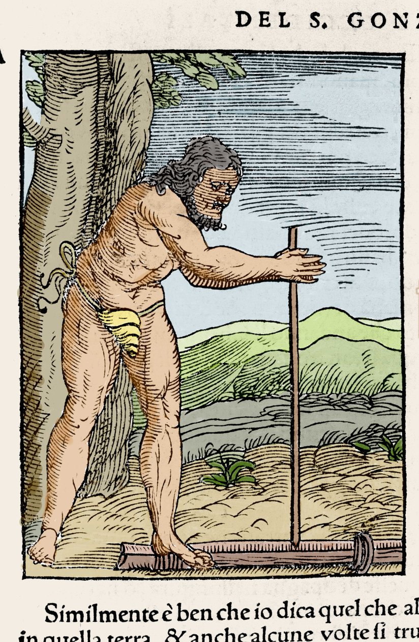 Um homem nativo acendendo uma fogueira esfregando dois pedaços de madeira. Gravura de "Navigationi e Viaggi" de Giovanni Battista Ramusio (1485-1557), vol. III, Veneza 1565. de Italian School