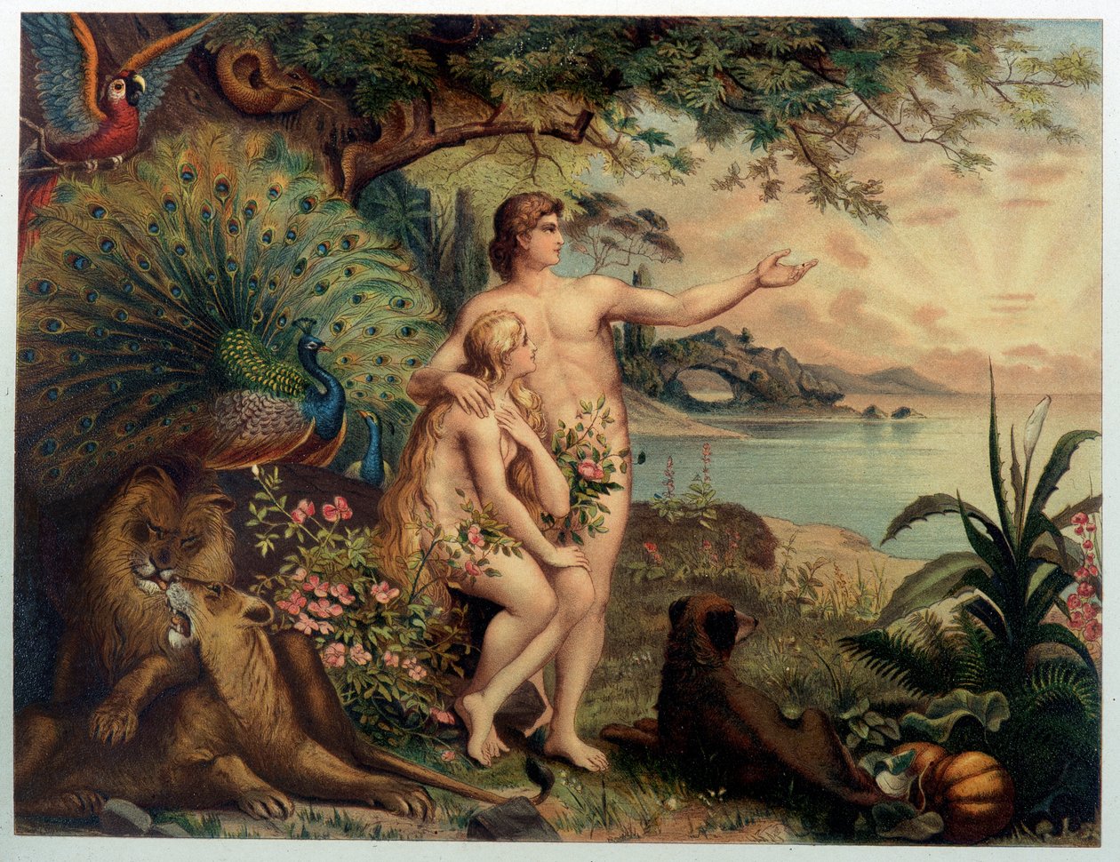 Adam and Eve au Paradise earthly (Eden) - in "Aurea Bibbia classica: storia della rivelazione divina nell