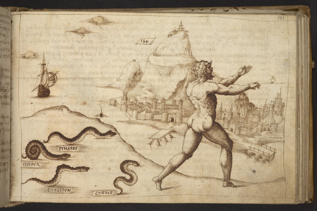 Adicionar. 82955, f.133   Cobras perseguindo uma figura humana.  , da Historia Animalium, (composto por 245 desenhos a bico de pena de diferentes espécies de animais e criaturas míticas, cada um acompanhado por uma descrição.)    1595 de Italian School
