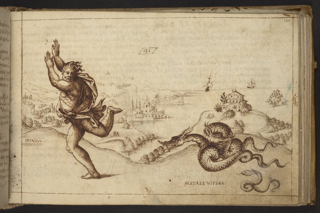 Adicionar. 82955, f.134 Figura humana perseguida por serpentes., de Historia Animalium de Italian School