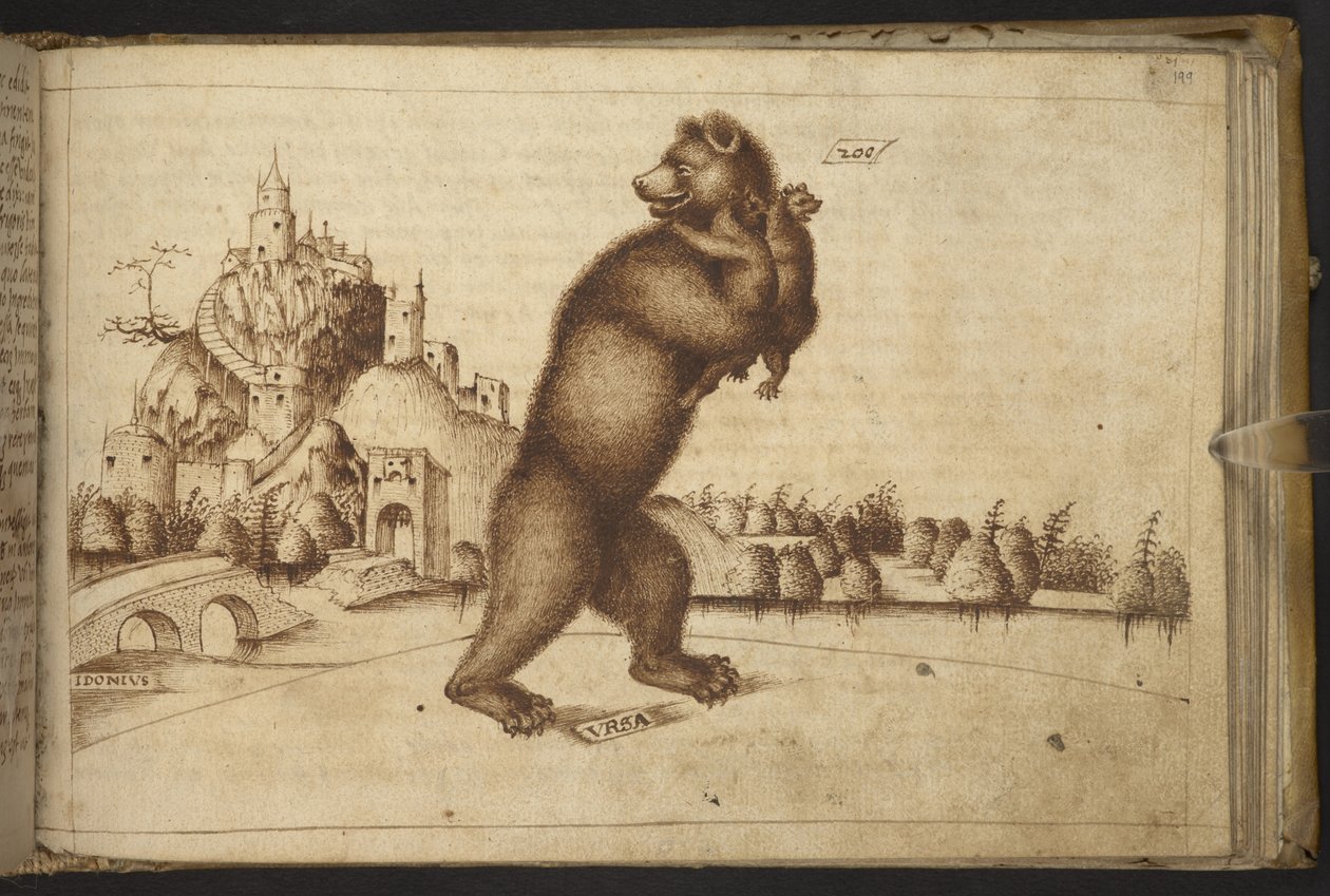 Acrescentar. 82955, f.199 Bears (