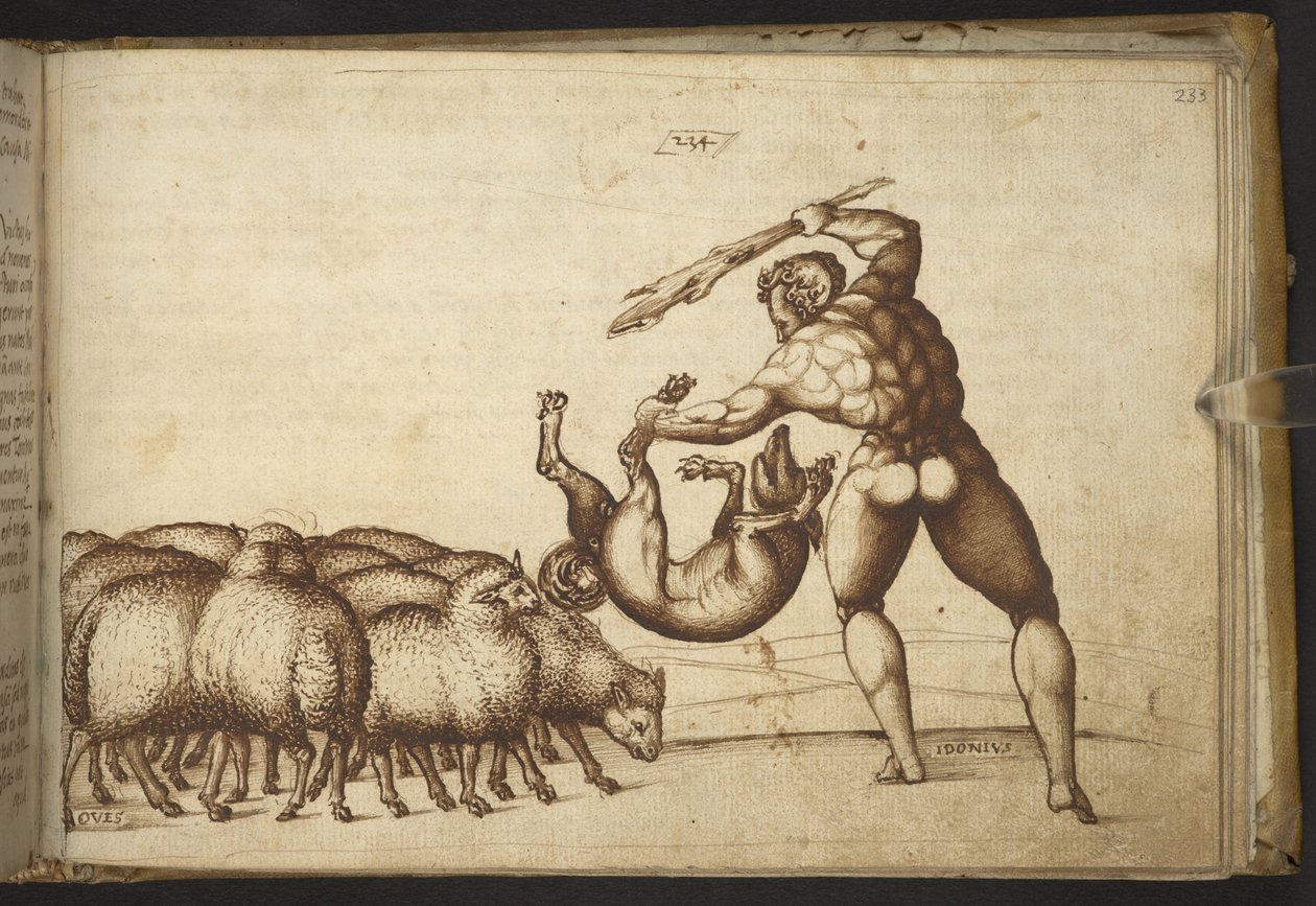 Adicionar. 82955, f.233 Ovelhas (