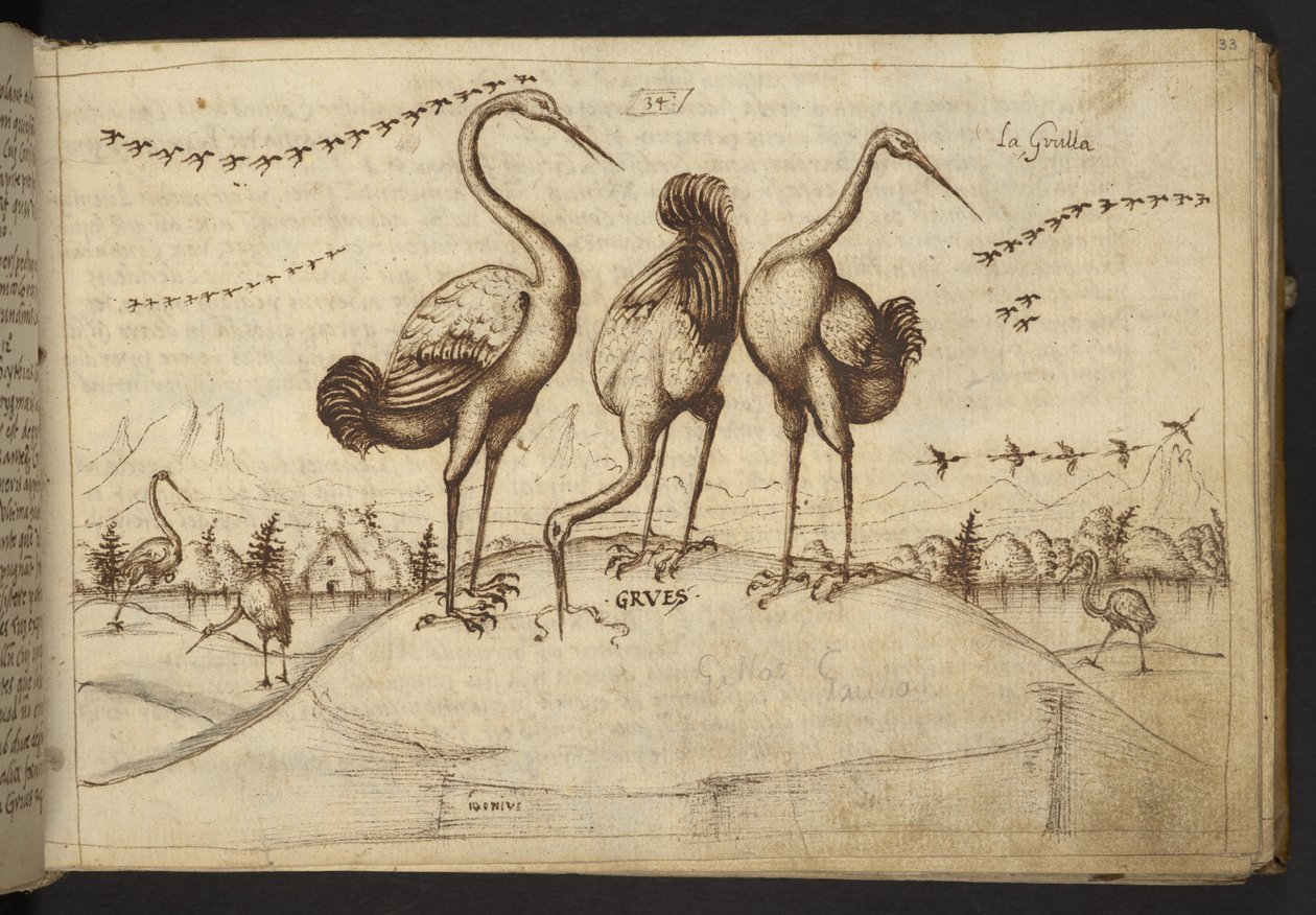Adicionar. 82955, f.33 Guindastes (