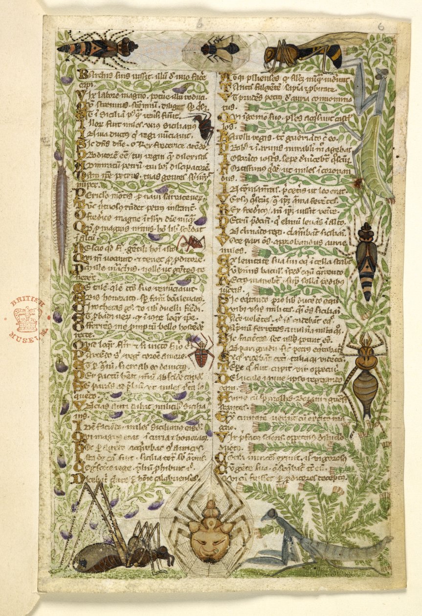 Adicionar MS 28841 f.006r Folhas de um tratado em prosa sobre os Sete Vícios e um verso sobre eventos da história da Sicília no tempo de Frederico II, de Cocharelli, c.1330-40 de Italian School