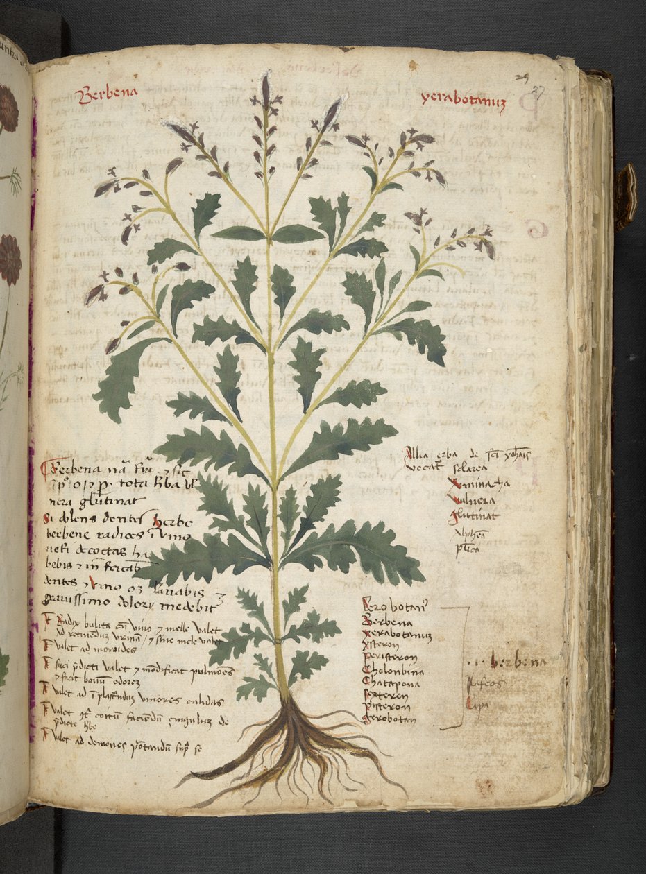 Adicionar MS 41623 