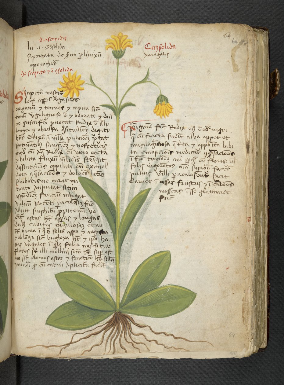Adicione MS 41623 
