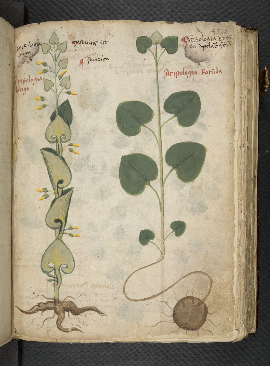 Adicionar MS 41623 