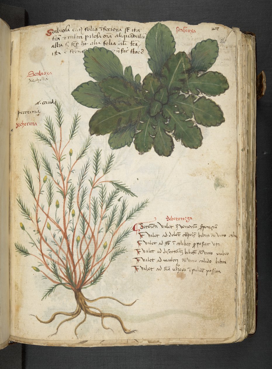 Adicionar MS 41623 