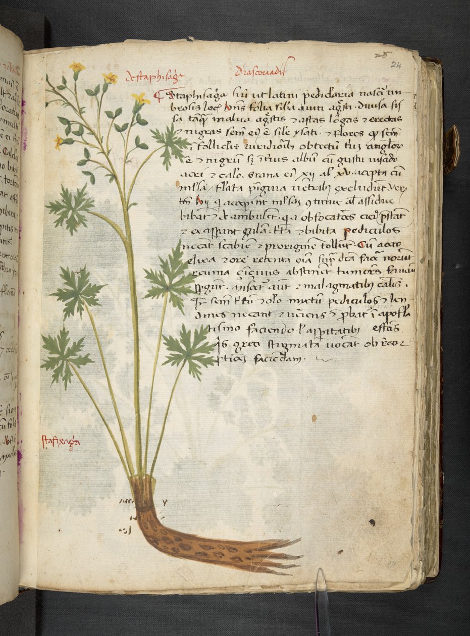 Adicionar MS 41623 