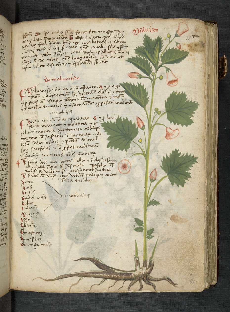 Adicionar MS 41623 