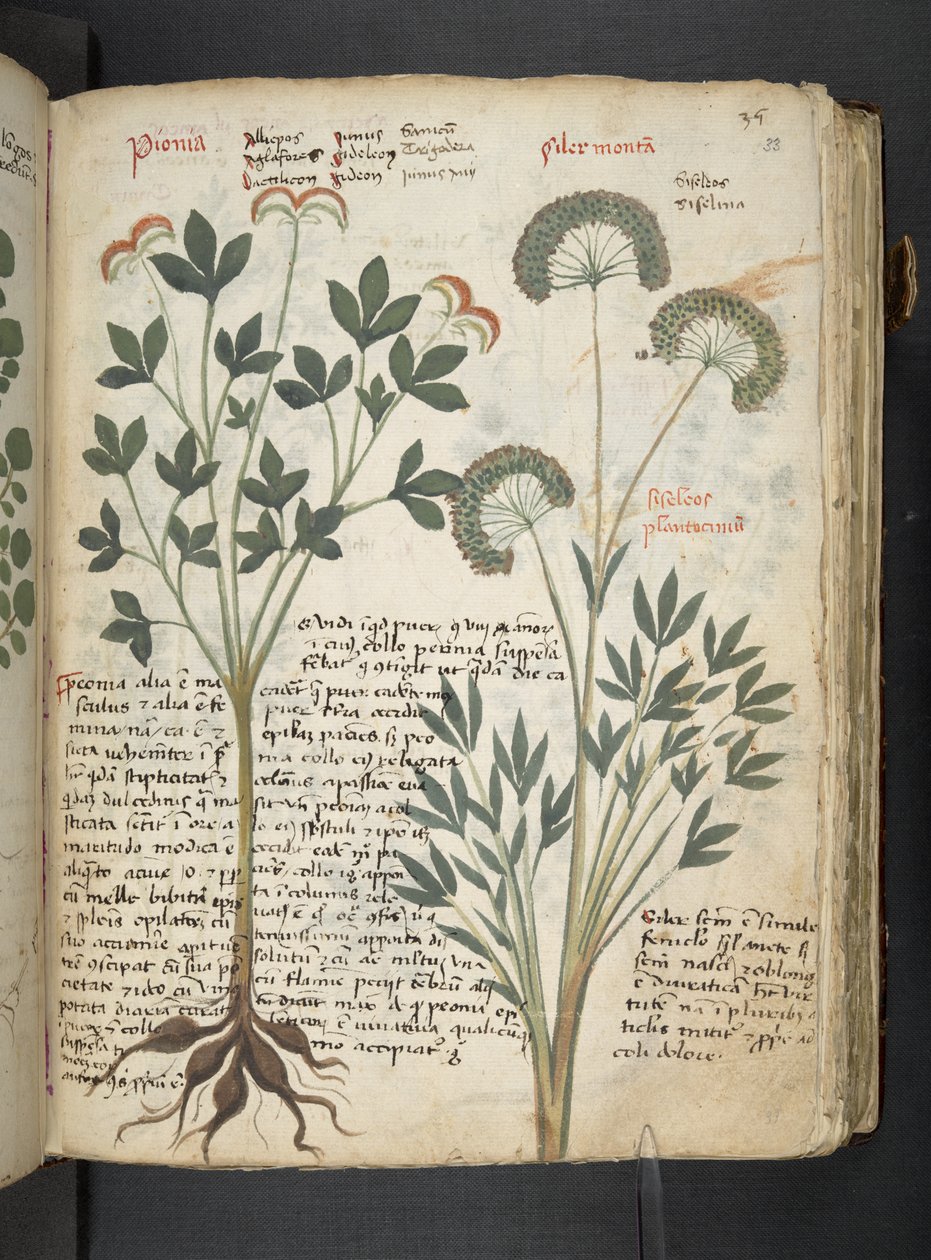 Adicionar MS 41623 