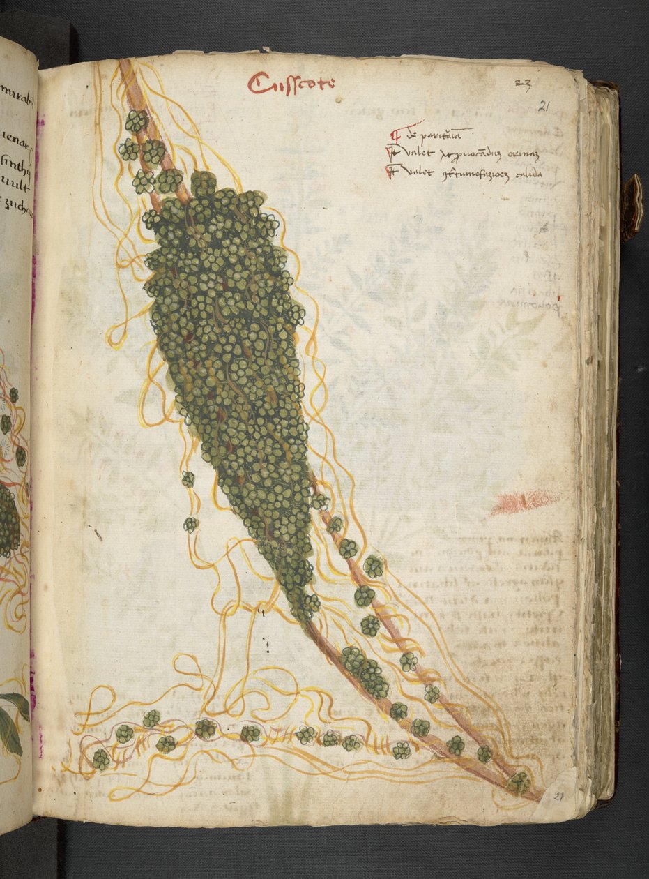 Adicione MS 41623 