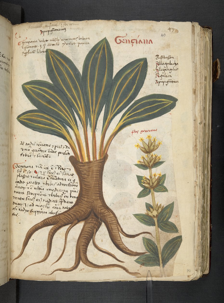 Adicionar MS 41623 