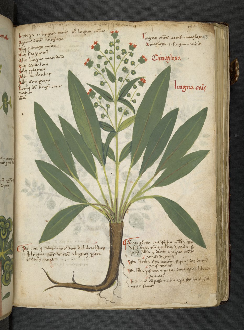 Adicione MS 41623 